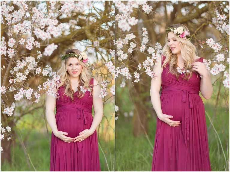 livermore maternity portrait in cherry blossom trees